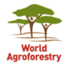 World Agroforestry